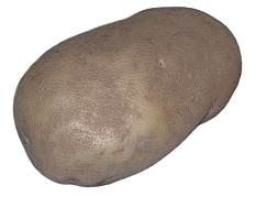 Russet Baking Potato